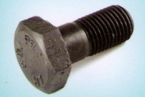 image_2022-04-22_065613