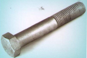 image_2022-04-22_065649