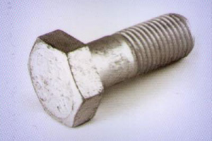 image_2022-04-22_065704